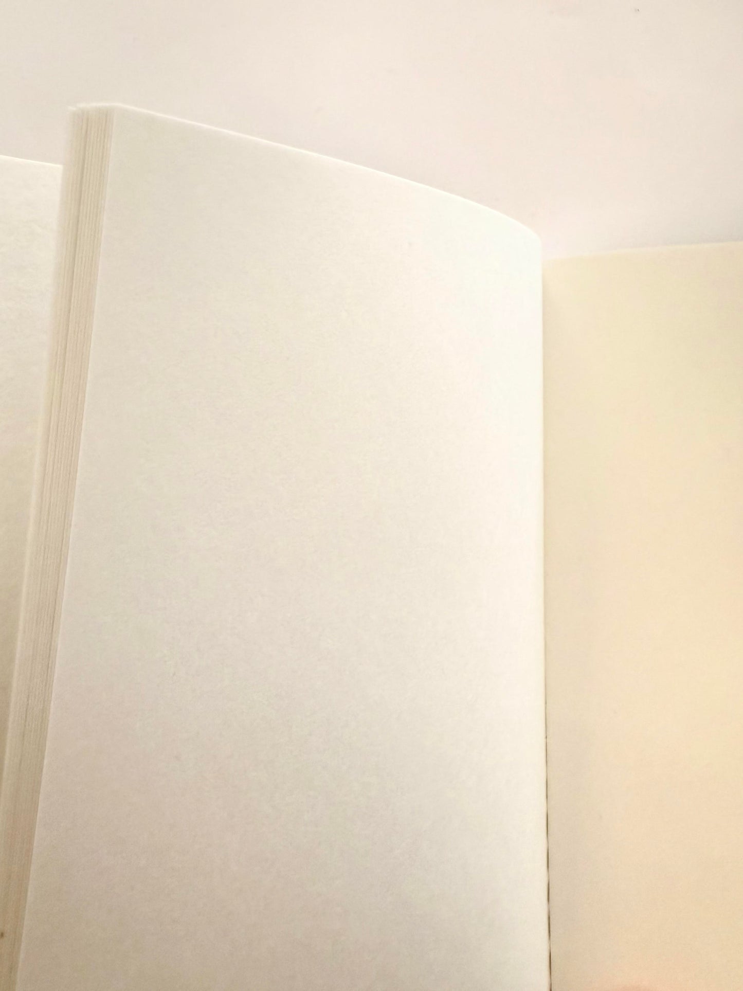 Libretita pocket