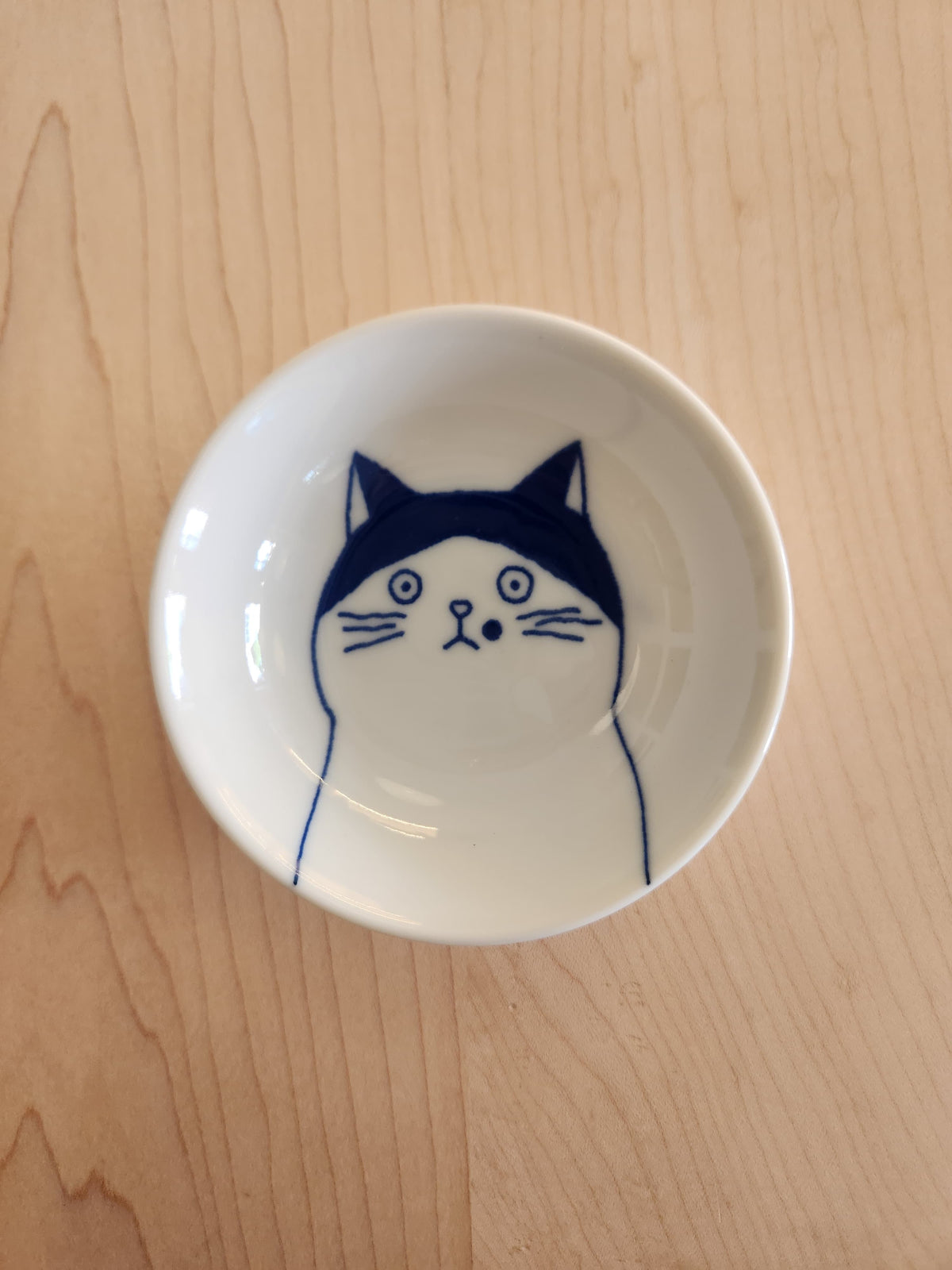 Los platitos de los gatos