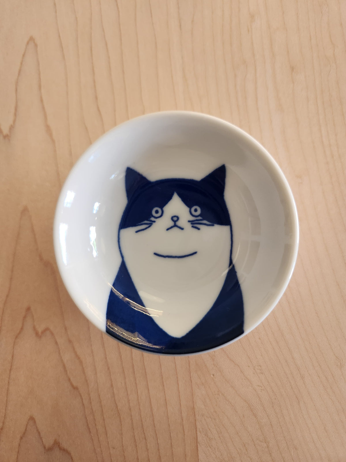 Los platitos de los gatos