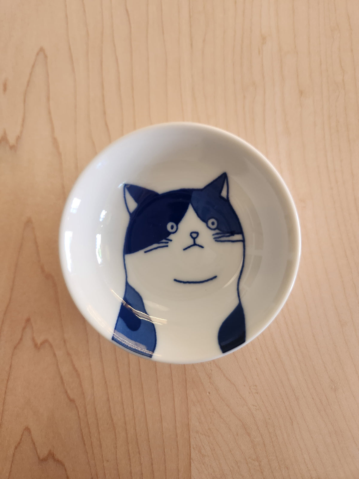 Los platitos de los gatos
